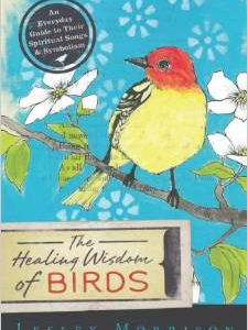 The Healing Wisdom of Birds: An Everyday Guide to Their Spiritual Songs & Symbolism