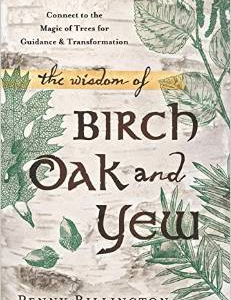 The Wisdom of Birch, Oak, and Yew: Connect to the Magic of Trees for Guidance & Transformation