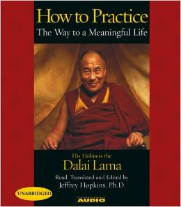 How to Practice: The Way to a Meaningful Life