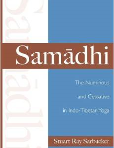 Samadhi: The Numinous and Cessative in Indo-Tibetan Yoga