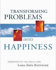 Transforming Problems Into Happiness