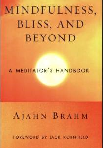 Mindfulness, Bliss, and Beyond: A Meditator's Handbook