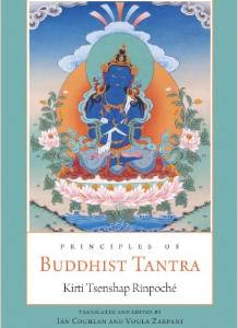 Principles of Buddhist Tantra: A Commentary on Choje Ngawang Palden's Illumination of the Tantric Tradition: The Principles of the Grounds and Paths of the Four Great Secret Classes of Tantra