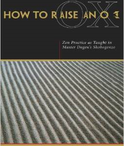 How to Raise an Ox: Zen Practice as Taught in Master Dogen's Shobogenzo