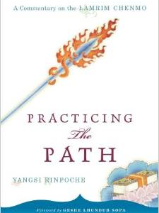 Practicing the Path: A Commentary on the Lamrim Chenmo