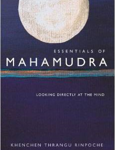 Essentials of Mahamudra: Looking Directly at the Mind