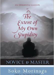 Novice to Master: An Ongoing Lesson in the Extent of My Own Stupidity