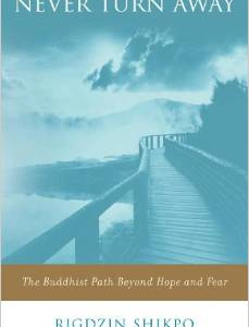 Never Turn Away: The Buddhist Path Beyond Hope and Fear