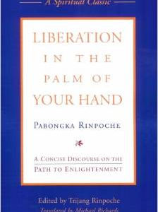 Liberation in the Palm of Your Hand: A Concise Discourse on the Path to Enlightenment