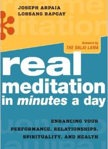 Real Meditation in Minutes a Day: Optimizing Your Performance, Relationships, Spirituality, and Health