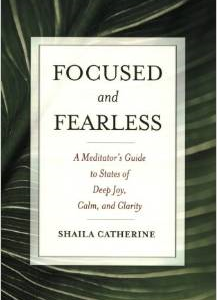 Focused and Fearless: A Meditator's Guide to States of Deep Joy, Calm, and Clarity