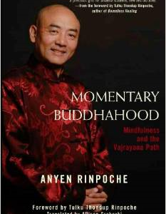 Momentary Buddhahood: Mindfulness and the Vajrayana Path