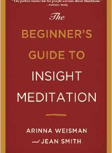 The Beginner's Guide to Insight Meditation