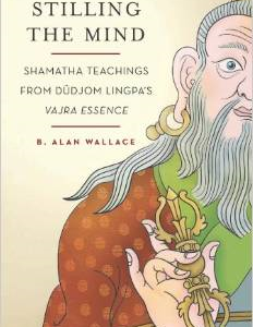 Stilling the Mind: Shamatha Teachings from Dudjom Lingpa's Vajra Essence