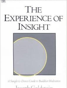 The Experience of Insight: A Simple and Direct Guide to Buddhist Meditation