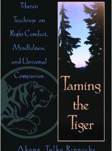 Taming the Tiger: Tibetan Teachings on Right Conduct, Mindfulness, and Universal Compassion