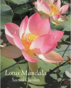 Lotus Mandala: Sacred Garden