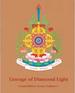 Lineage of Diamond Light Crystal Mirror 5