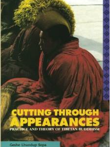 Cutting Through Appearances: Practice and Theory of Tibetan Buddhism