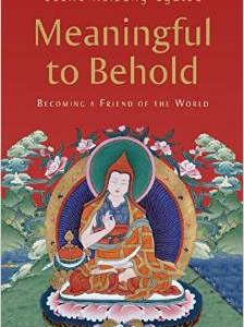 Meaningful to Behold: Becoming a Friend of the World