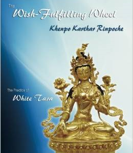 The Wish-Fulfilling Wheel: The Practice of White Tara