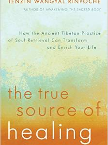 The True Source of Healing: How the Ancient Tibetan Practice of Soul Retrieval Can Transform and Enrich Your Life