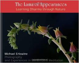 The Lama of Appearances: Learning Dharma Through Nature