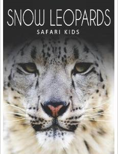 Snow Leopards