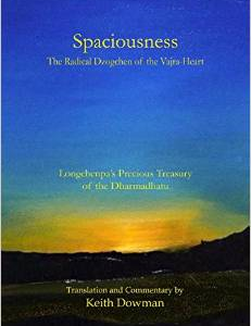 Spaciousness: The Radical Dzogchen of the Vajra-Heart: Longchenpa's Treasury of the Dharmadhatu