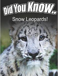 Snow Leopards