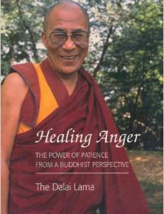 Healing Anger: The Power of Patience from a Buddhist Perspective