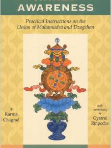 Naked Awareness: Practical Instructions on the Union of Mahamudra and Dzogchen