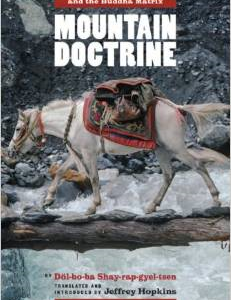 Mountain Doctrine: Tibet's Fundamental Treatise on Other-Emptiness and the Buddha Matrix