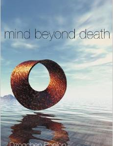 Mind Beyond Death