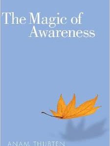 The Magic of Awareness