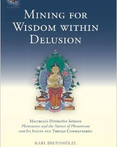 Mining for Wisdom Within Delusion: Maitreya S Distinction Between Phenomena and the Nature of Phenomena and Its Indian and Tibetan Commentaries