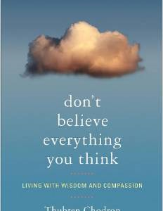 Don't Believe Everything You Think: Living with Wisdom and Compassion