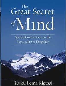 The Great Secret of Mind: Special Instructions on the Nonduality of Dzogchen