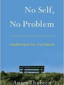 No Self, No Problem: Awakening to Our True Nature