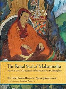 The Royal Seal of Mahamudra: Volume One: A Guidebook for the Realization of Coemergence