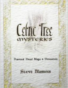 Celtic Tree Mysteries: Practical Druid Magic & Divination