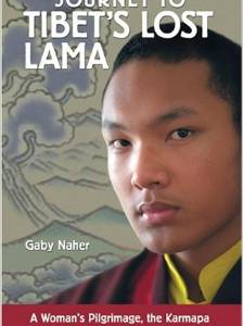 Journey to Tibet's Lost Lama: A Woman's Pilgrimage, the Karmapa in Exile, and the Fate of Modern Tibet