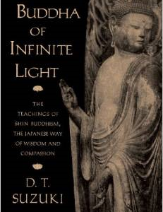 Buddha of Infinite Light: The Teachings of Shin Buddhism, the Japanese Way of Wisdom and Compassion