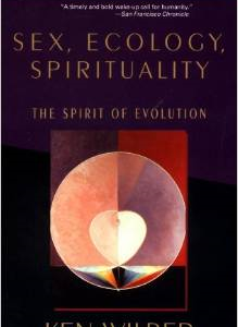 Sex, Ecology, Spirituality: The Spirit of Evolution, Second Edition