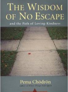 The Wisdom of No Escape: And the Path of Loving Kindness