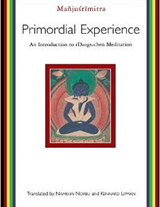 Primordial Experience: An Introduction to Rdzogs-Chen Meditation