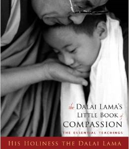 The Dalai Lama's Little Book of Compassion: The Essential Teachings: His Holiness the Dalai Lama