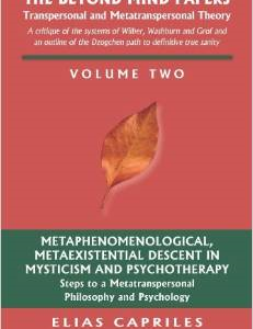 The Beyond Mind Papers: Vol 2 Steps to a Metatranspersonal Philosophy and Psychology