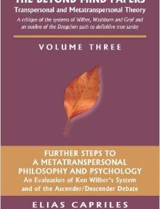 The Beyond Mind Papers: Vol 3 Further Steps to a Metatranspersonal Philosophy and Psychology