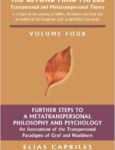 The Beyond Mind Papers: Vol 4 Further Steps to a Metatranspersonal Philosophy and Psychology